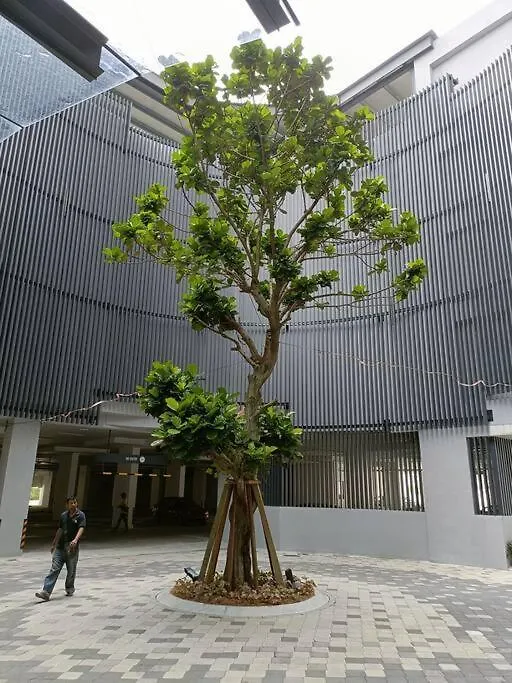 Sky Trees 2 Bedroom 1 Living Room Netflix Private Car Park Johor Bahru
